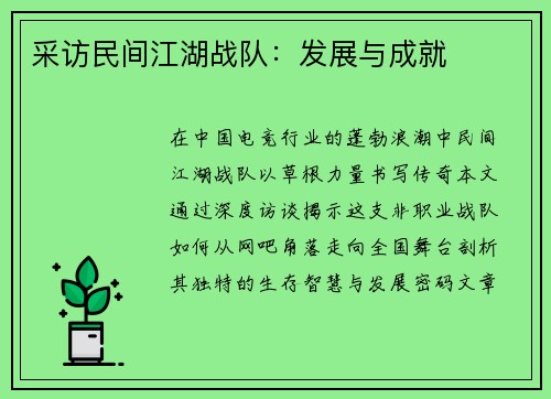 采访民间江湖战队：发展与成就